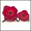 Glowing deep Red Poppy Bowls