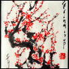 Chinese Plum Tree