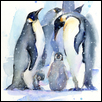 Penguins, snowfall