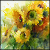Sunflower Splendor