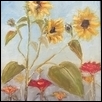 Sunflowers and Zinnias