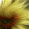 Sunflower Swirl