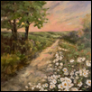 Daisies in the Flint Hills