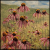 Dancing Cone Flowers