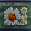 Daisies with 3D Butterfly