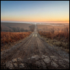 Foggy Morning Drive