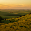 On The Hillside