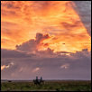 Riders at Dawn