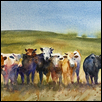 Chorus Line