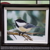 Winter Bird, Black-Capped Chickadee canvas Giclee Prints