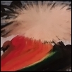 Spectrum of a Peacock