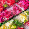 Frozen Rosebuds