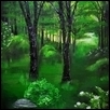 Monochromatic Temperate Forest