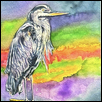 Blue Heron