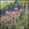 Prairie Dame’s Rocket