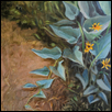 Buffalo Gourd & Brown-eyed Susan