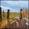 Weathered Fence Line
