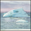 Jokulsarlon Iceberg