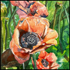 Bright Poppies