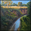 Kings Creek