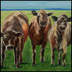 Kinney-Chase County girls