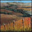 Fence Posts in the Flint Hills