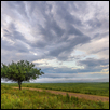 Along The Road
