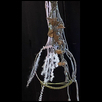 Holder of Bluestem